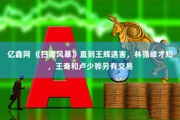 亿鑫网 《扫毒风暴》直到王辉遇害，林强峰才知，王奇和卢少骅另有交易