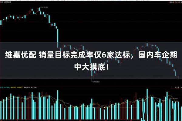 维嘉优配 销量目标完成率仅6家达标，国内车企期中大摸底！