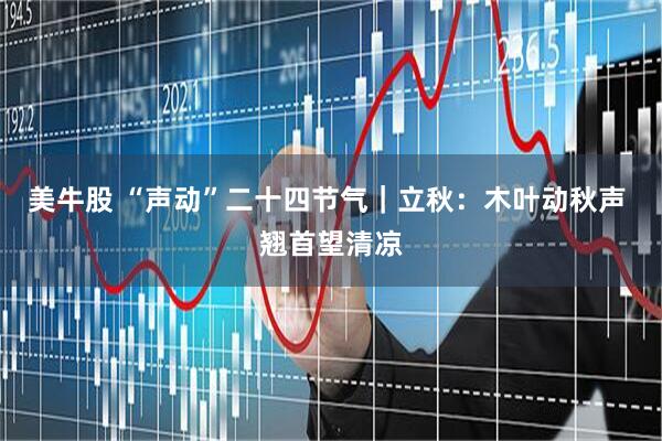 美牛股 “声动”二十四节气｜立秋：木叶动秋声 翘首望清凉