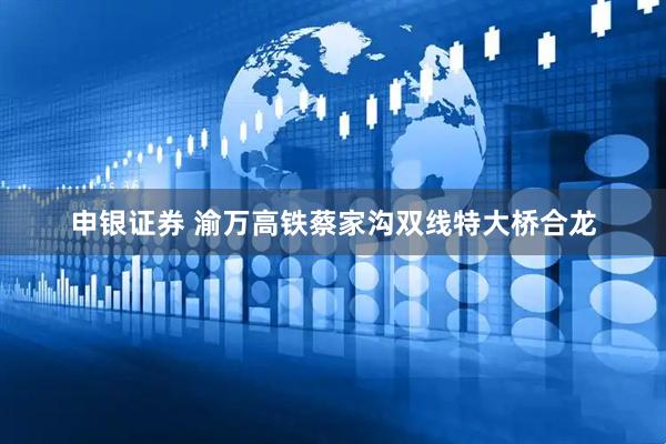 申银证券 渝万高铁蔡家沟双线特大桥合龙