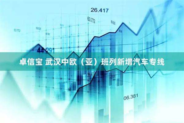 卓信宝 武汉中欧（亚）班列新增汽车专线