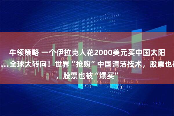 牛领策略 一个伊拉克人花2000美元买中国太阳能设备……全球大转向！世界“抢购”中国清洁技术，股票也被“爆买”