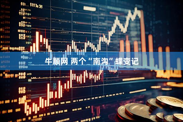 牛顺网 两个“南沟”蝶变记